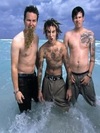 Blink 182c